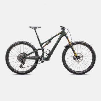 stumpjumper-15-pro-green-tint
