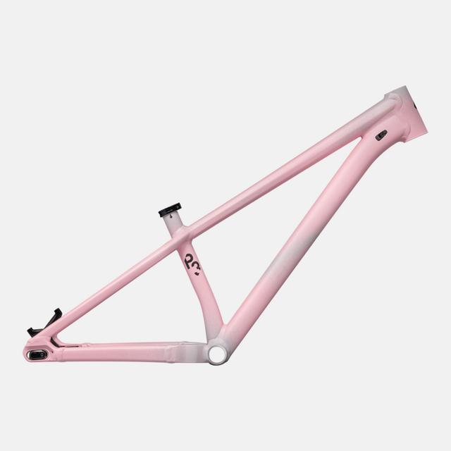 p3-frame-desert-rose