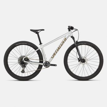 rockhopper-expert-29-gloss-silver-dust
